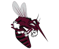 Mesquite High School Athletics Logo